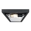 Westinghouse Fixture Ceiling Outdr Flush-Mount 60W 2-Light Wyndham 12In Txt, Black Clear Sd Glass 6114300